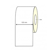 Epson CW-C6000 Inkjet Continuous Label Rolls - 125mm x 250 Meter Permanent (2 Rolls)